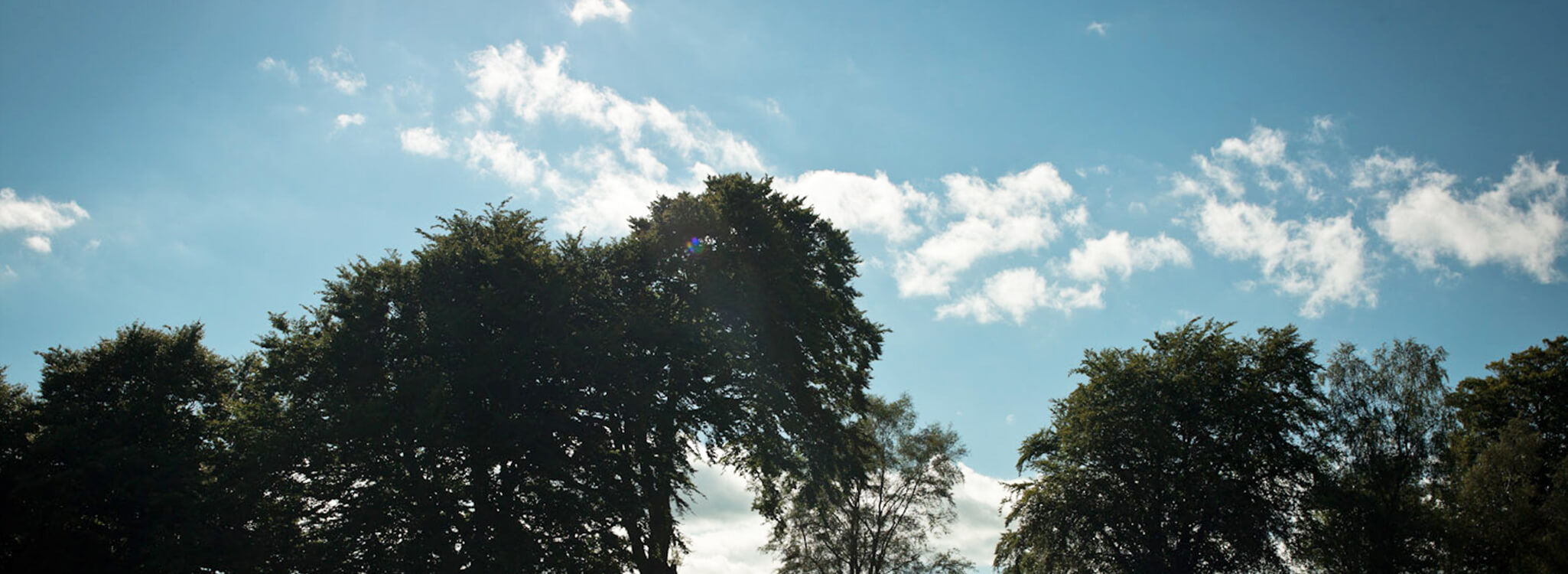 adam_hero_important-information