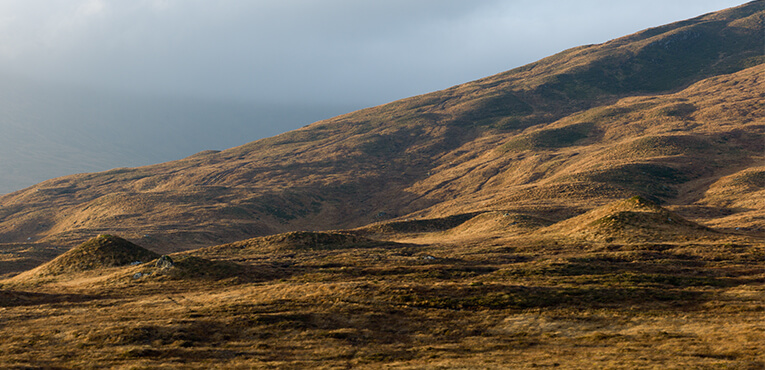 adam_investment_overview_performance