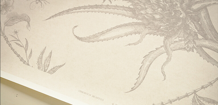 adam_investment_overview_philosophy