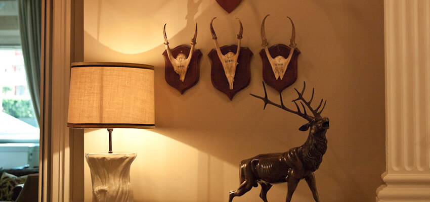 adam_wealth-management_process